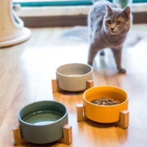 Ceramic Elevated Bowl for Pets