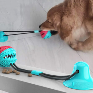 Biting Toy for Dogs