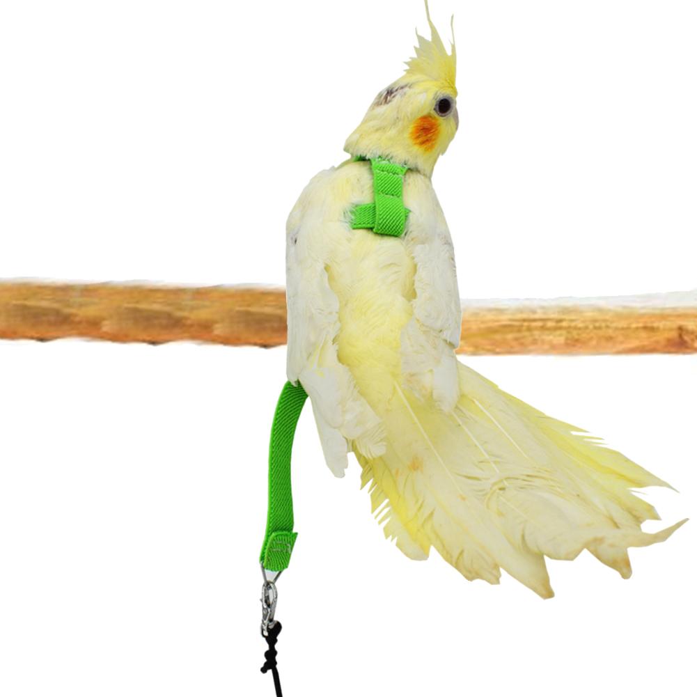 Bird's Ultralight Harness - Image 5