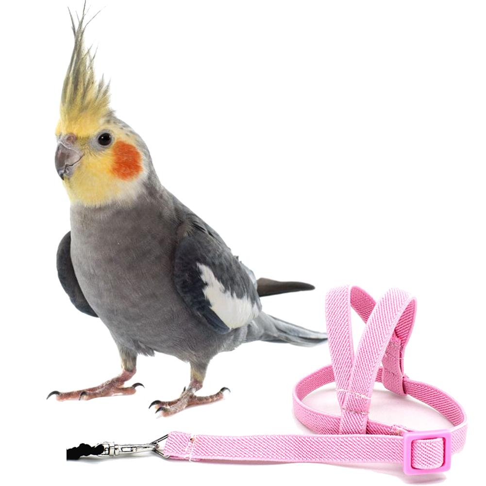 Bird's Ultralight Harness Bird's Ultralight Harness