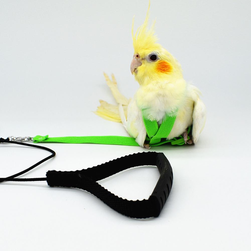 Bird's Ultralight Harness - Image 3