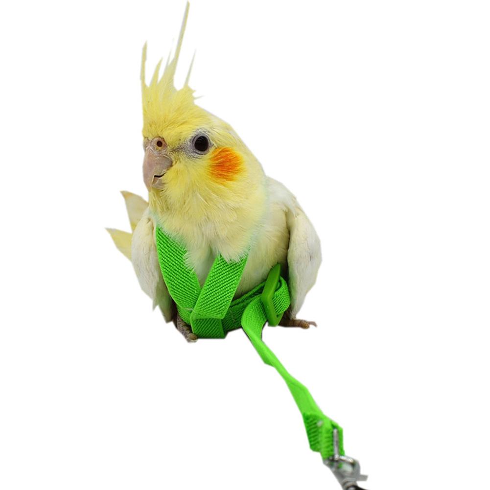 Bird's Ultralight Harness - Image 6