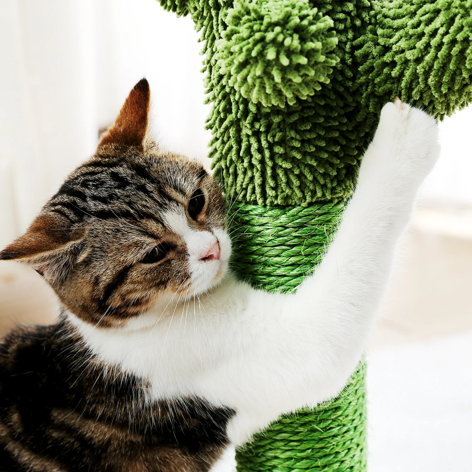 Cactus Shaped Cat Scratching Post Cactus Shaped Cat Scratching Post