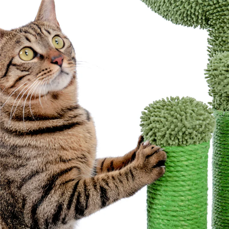 Cactus Shaped Cat Scratching Post Cactus Shaped Cat Scratching Post