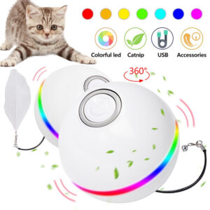 Smart Electric Pet Toys